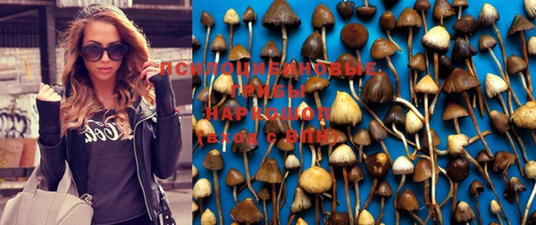 прущая мука Белокуриха