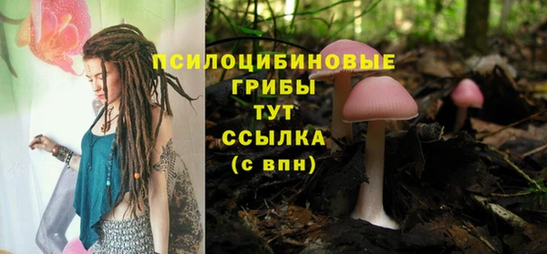 дмт Беломорск