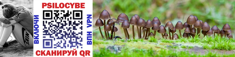 Псилоцибиновые грибы GOLDEN TEACHER  купить наркоту  Шарыпово 